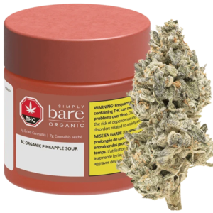 BC Organic Pineapple Sour